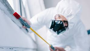 Best Pest Control for Hotels  in USA